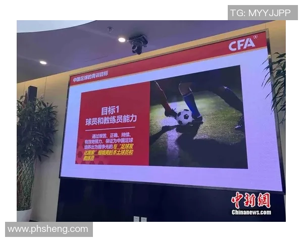 深圳足球队的灵活性探讨与未来发展方向分析