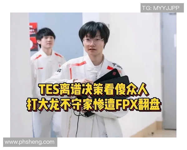 王者荣耀热议TES团队协作引发的争议与反思